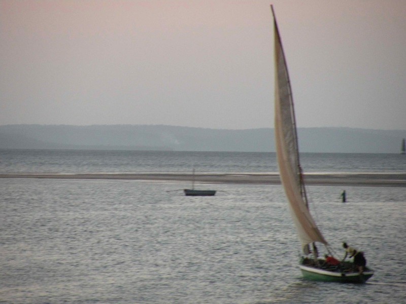 Dhows 2