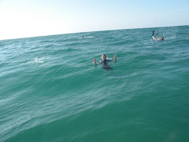 Snorkeling...