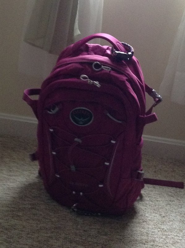 My Backpack/Carry On