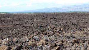 lava field near the Kalahuipua'a trail