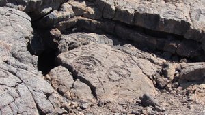 Waikoloa Petroglyphs