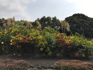 Paleaku Gardens Peace Sanctuary