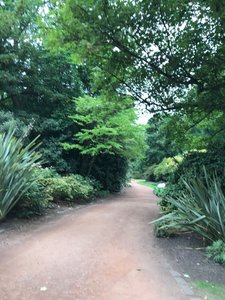 Path to Holyrood garden