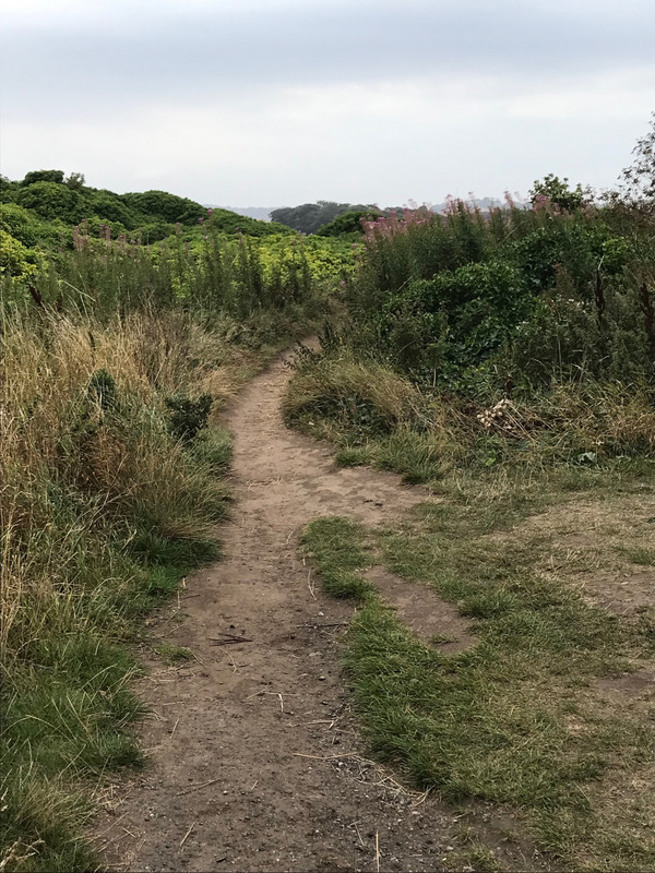 Path to Bamburgh Castle