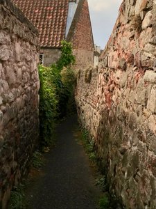 Berwick Bridge (Old Bridge) 