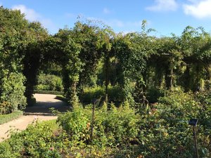 Alnwick Castle Gardens