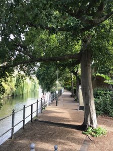 Norwich - river walk
