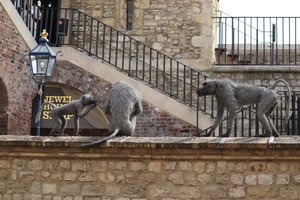 Tower of London - metal mesh animals