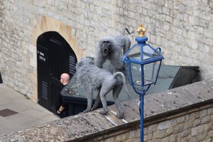 Tower of London - metal mesh animals