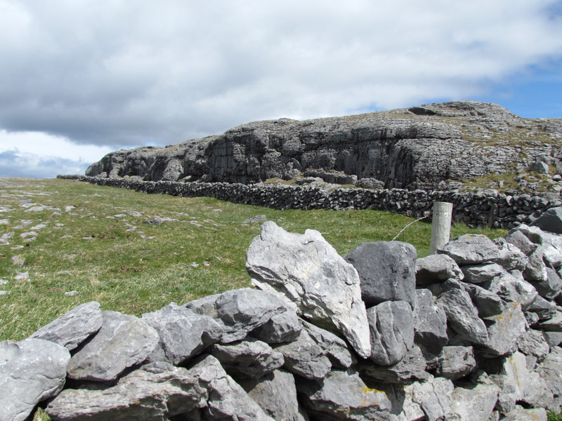 The Burren with a stone fence
