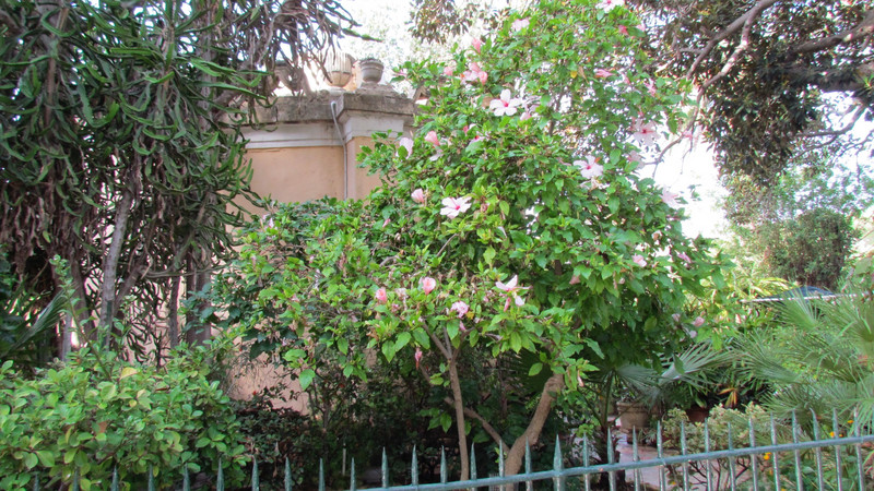 Argotti Botanical Gardens, Floriana