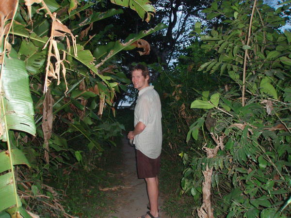 Rod in the Jungle behind RJ´s