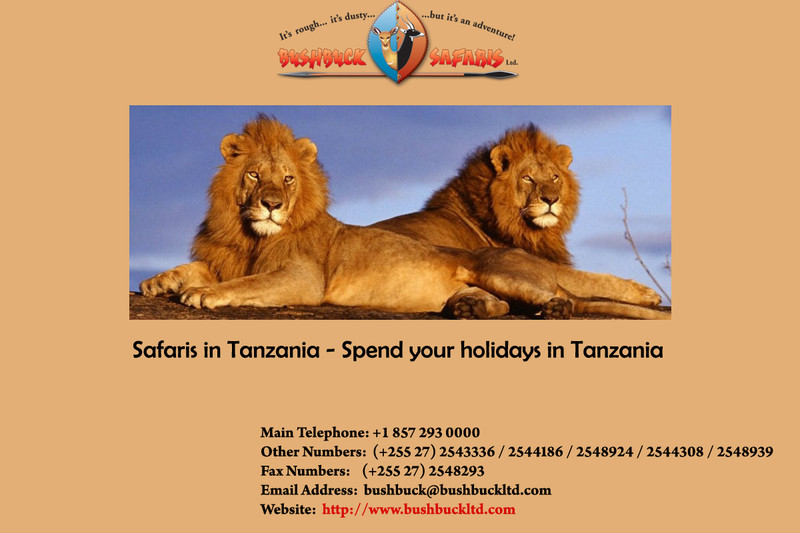 Safaris in Tanzania - Spend your holidays in Tanzania