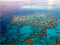 the great barrier reef in QLD