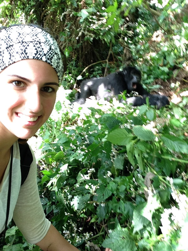 Just a gorilla chilling behind me...