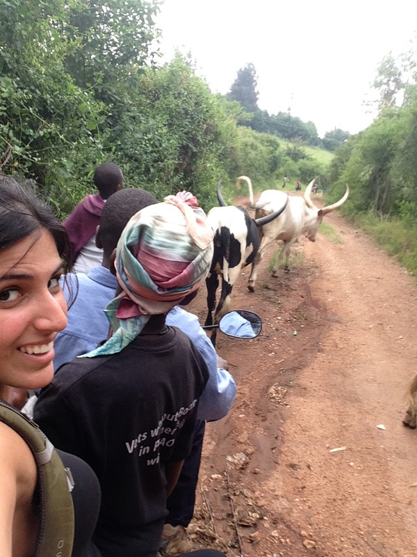 Just boda-ing around town, vaccinating some goats