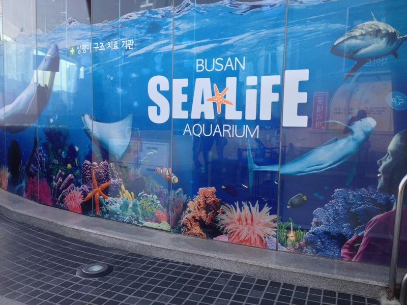 Busan SEA LIFE Aquarium