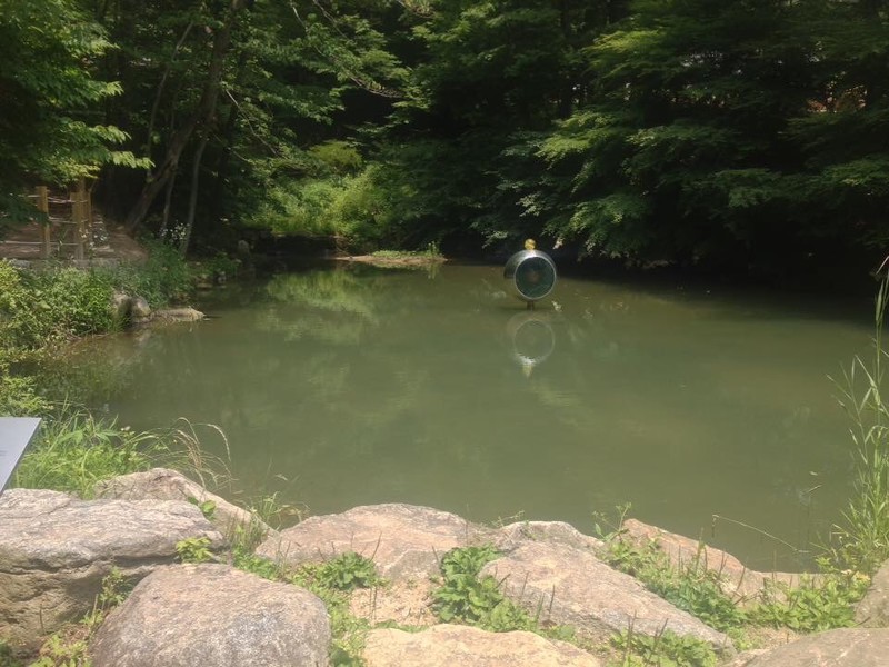 Yeongji, pond of reflection