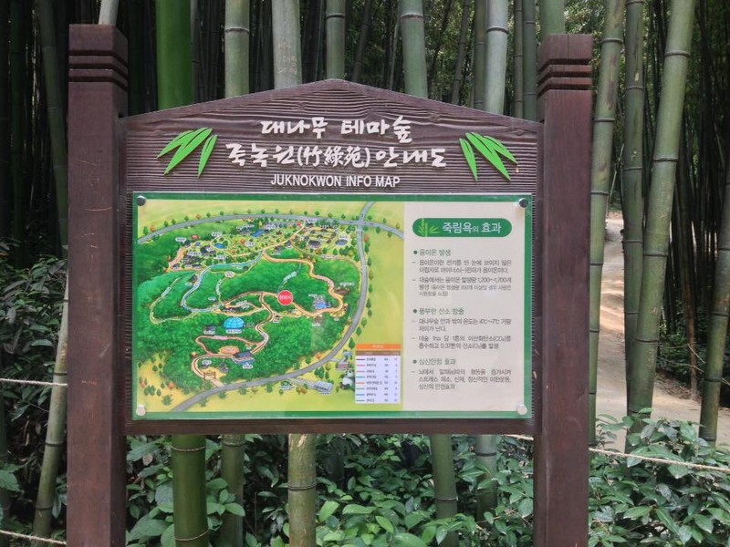 Juknokwon, Bamboo forest