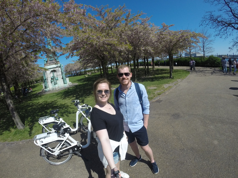 Lovely cherry blossoms, ft our bikes