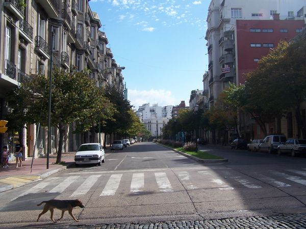 A typical street in BsAs