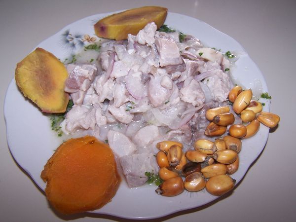 A 4 soles plate of Ceviche in Nazca