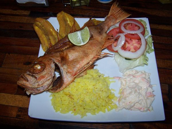 My best meal in Venezuela! Fresh caught Catalana...