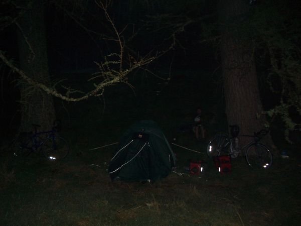 Camp between fir trees