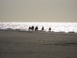 Horse riders at Renesse