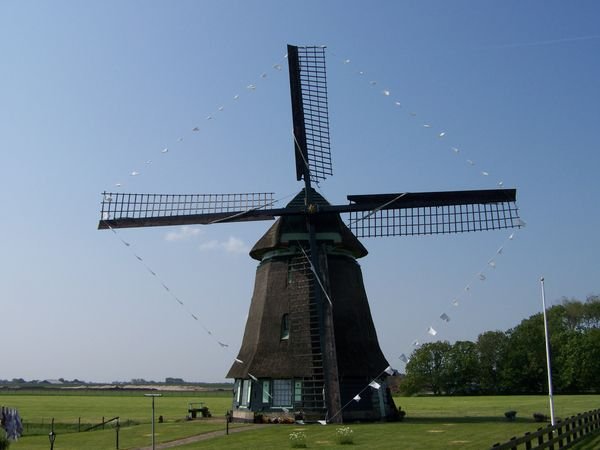 Windmill #3