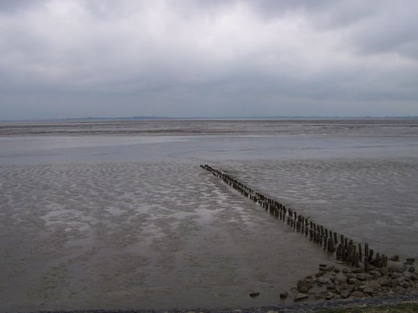 The muddy bay at Wilhelmshaven around which I cycled
