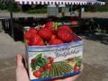 Swedish strawberries!