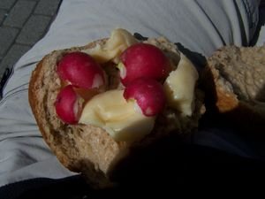 If I eat one more cheese and radish sandwich I'm going to kill someone!