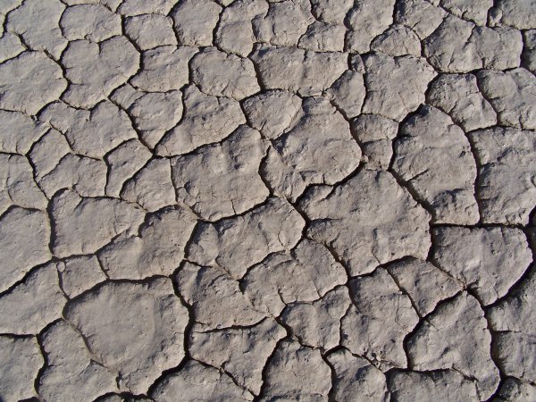 Cracked earth, Panamint Valley