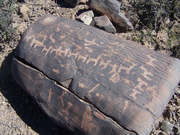 Petroglyphs, llama, Argentina
