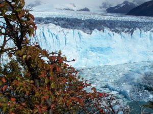 Moreno glacier, Patagonia, Argentina