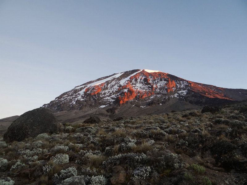 Kilimanjaro at dawn from Karanga