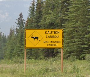 Warnings Everywhere but No Animals to Justify the Big Signs