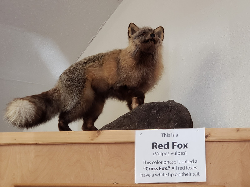 You Big Dummy, I Ain't That Redd Foxx.