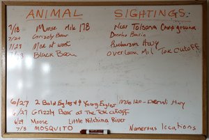Mosquito - Numerous Locations