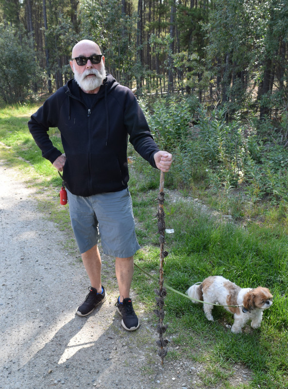 Dave and His New Piney-Coney Walking Stick