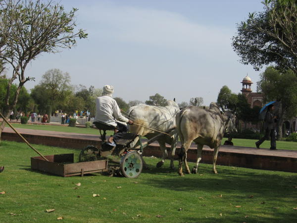 Indian Lawn Mower
