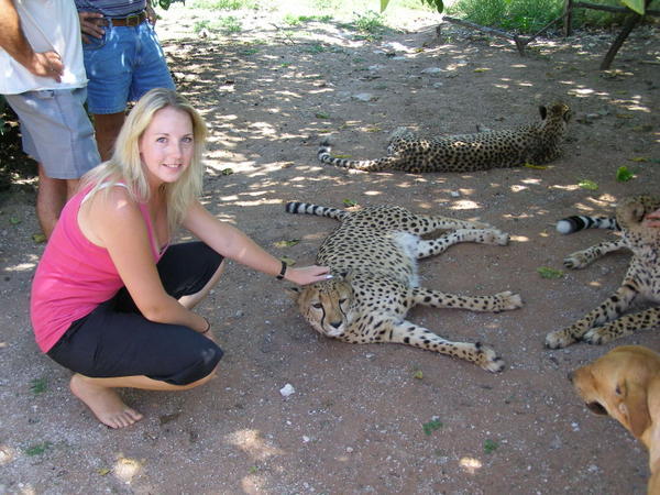 Kristi gets up close with cheetahs!