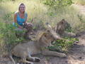 Kristi goes walking with lions
