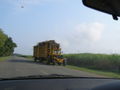 Sugarcane industry! Could they pile this truck any higher?