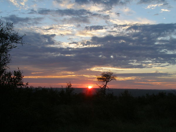 A typical beautiful African sunrise