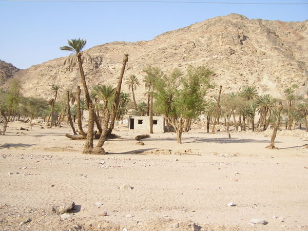 Housing on the way to Mt Sinai
