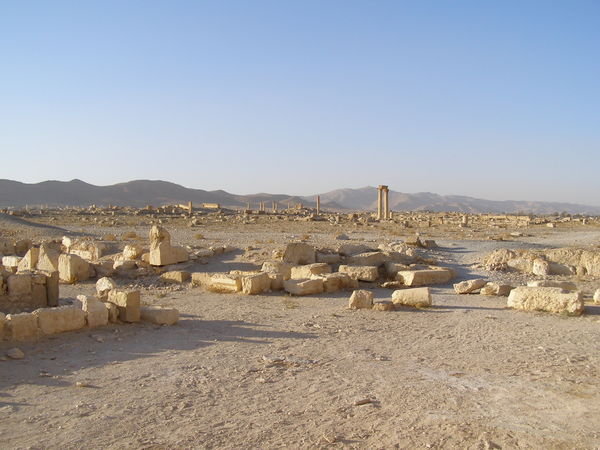 Looking out over the yet unexcavated Palmyra ruins