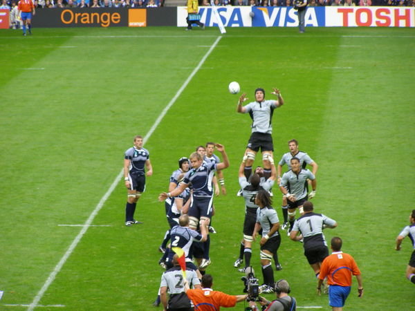 Line out - won by NZ