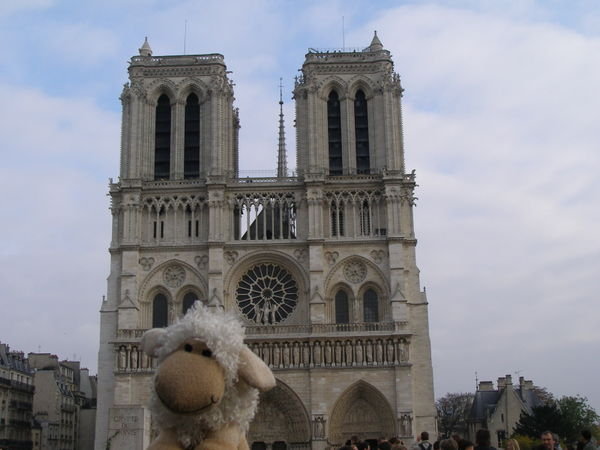 Sheepy of Notre Dame